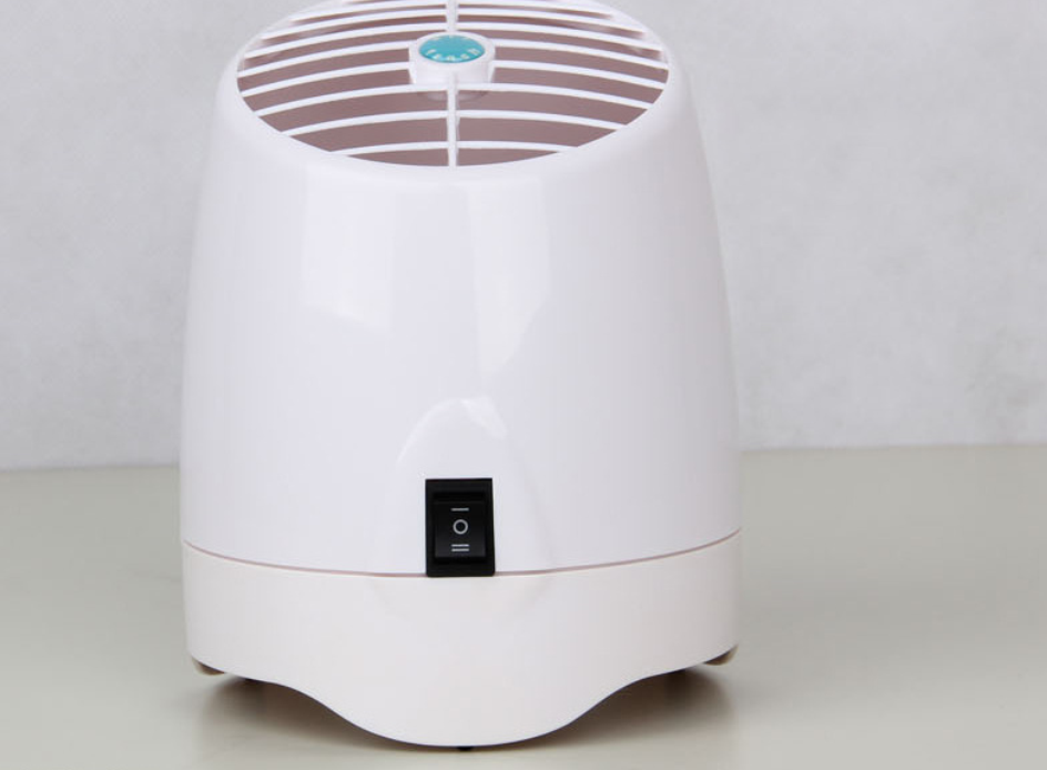 Anion air purifier